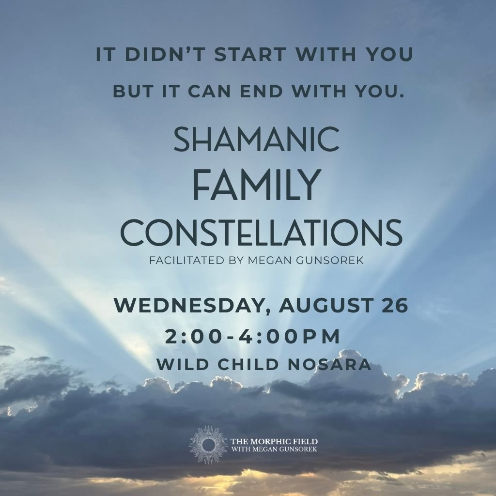 Shamanic Family Constellations at Wild Child Nosara on Wednesday, August 26