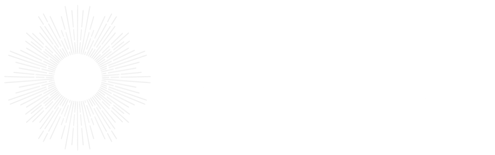 The Morphic Field